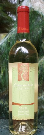 2020 Pinot Gris