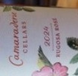 2024 Rugosa Rosé