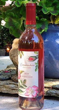 2020 Rugosa Rose