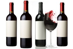 Tempranillo 4 Pack 2020